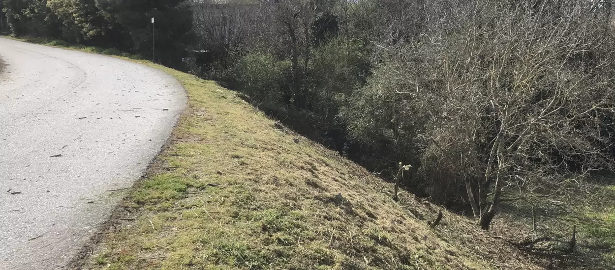 Limpeza de taludes e caminhos pedonais nas zonas de São Martinho do Souto e Bairro da Ponte/Alvelos